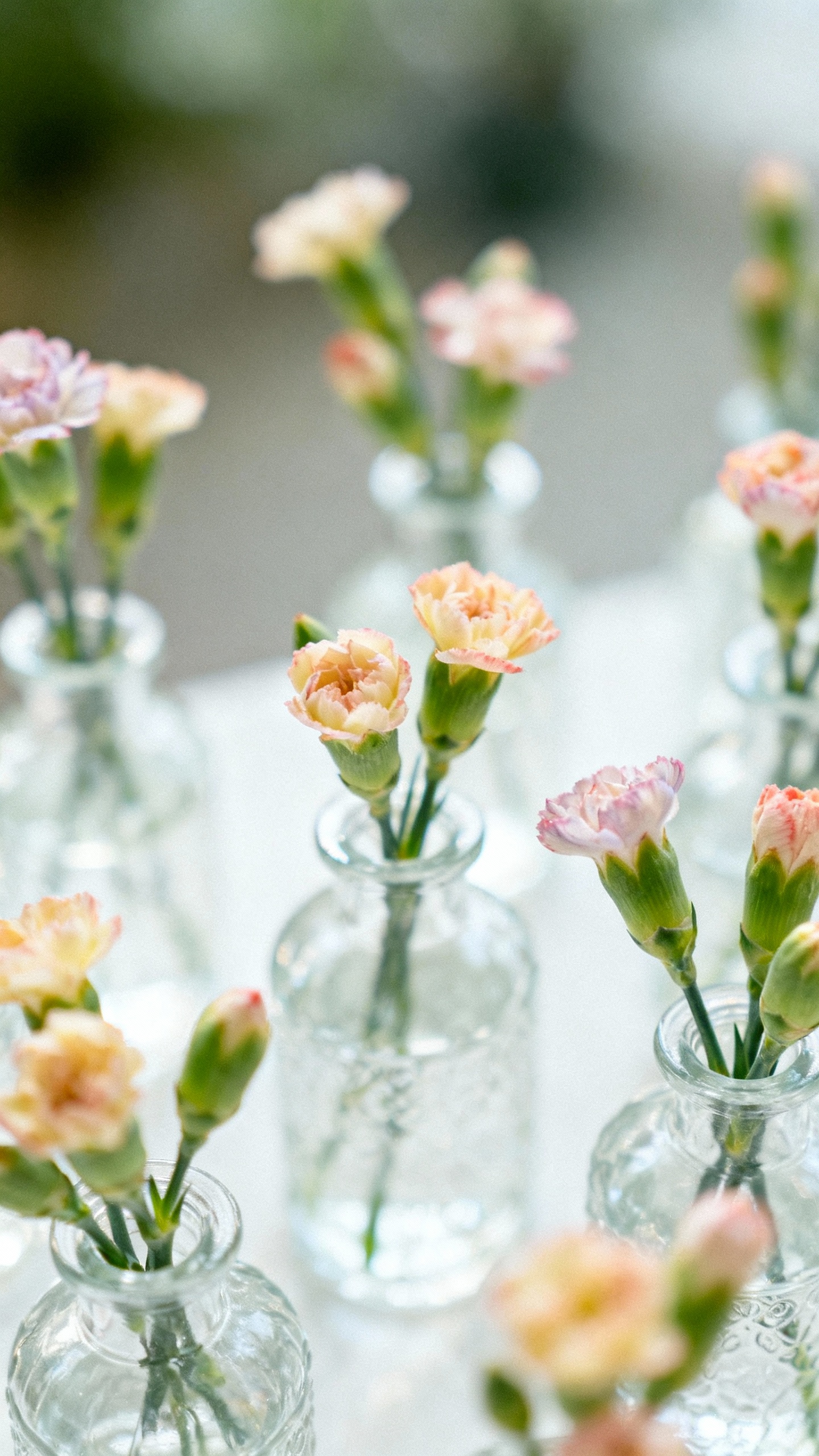 Closeup clustered mini bouquets in clear glass bud vases